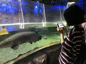 KakaoTalk_20190624_175134633_01