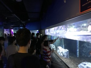 KakaoTalk_20190624_175134633_02